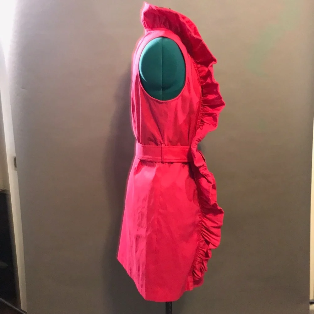 Samuel Dong Raspberry Ruffle Collar Dress Large - Picture 2 of 8